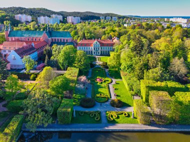 İlkbahar parkında çiçek açan ağaçlar, Gdansk Oliwa. Polonya