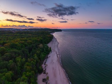 Gdynia Orlowo 'daki uçurum, Gdansk Körfezi, Polonya.