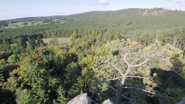 Panoramic View Forest Meadows Rock Outcrop Czech Landscape Europe — Stock Video