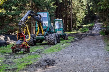 Wheeled harvester for tree harvesting in forest.