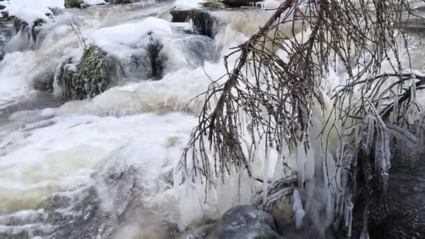 Spring Thaw Water Rapids Spring Season Ice Snow Melt — Stok video