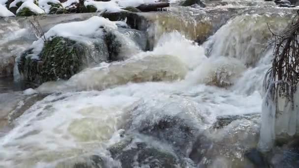Оттепель Весной Водные Пороги Весной Тают Лед Снег — стоковое видео