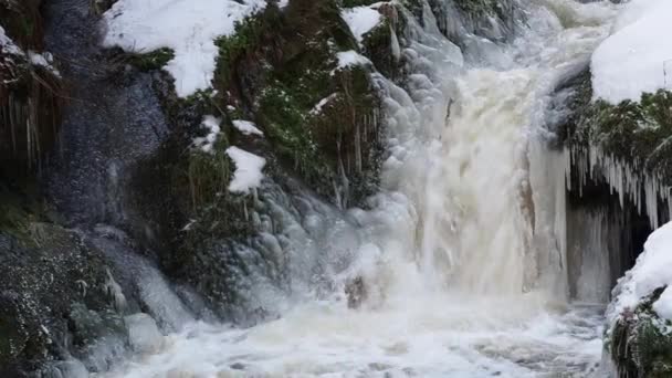 Spring Thaw Water Rapids Spring Season Ice Snow Melt — Stok video