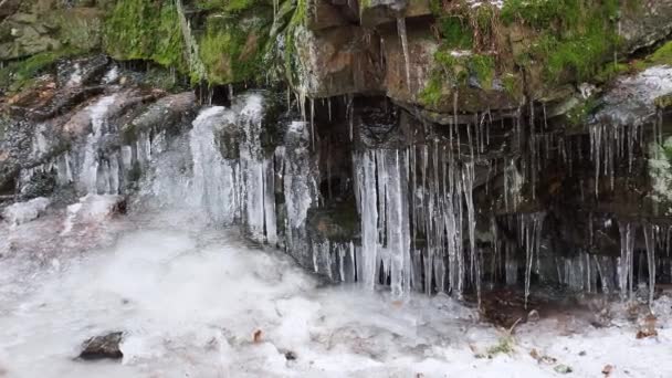 Bir Kaya Duvarı Üzerinde Buz Sarkıtları — Stok video