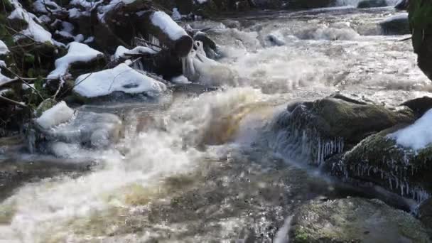 Lente Ontdooit Waterstroomversnellingen Het Voorjaarsseizoen Wanneer Ijs Sneeuw Smelten — Stockvideo