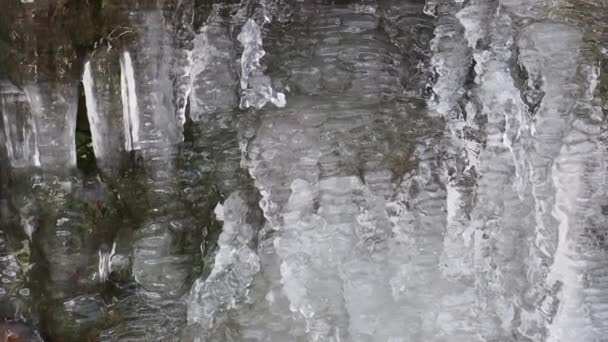Tající Led Voda Kapající Rampouchu — Stock video
