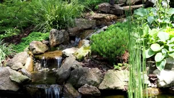 花园瀑布 花园池塘的水花 美丽的池塘在后院包围石头期间 — 图库视频影像
