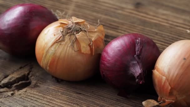 Yellow Red Onions Wooden Board — Stock Video
