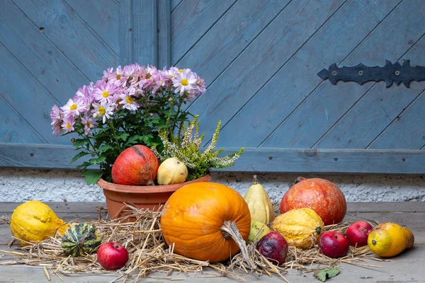 Autumn Country Decoration Pumpkin Apples Table Royalty Free Stock Photos