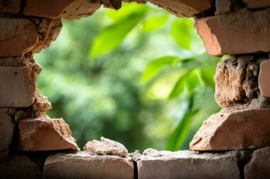 Yeşil yapraklar eski bir tuğla duvardaki delikten görülebilir.