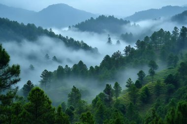 Himalaya Dağları 'nı çevreleyen yeşil çam ormanının üzerindeki güzel sis manzarası. Yapay zeka üretken