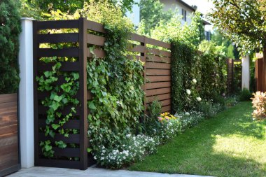 Çiçekler ve çimlerle dolu güzel bir bahçede, modern ahşap bir çitte yetişen bir bitki. Yapay zeka üretken