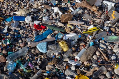 Plastik çöpler bir çakıl taşı plajını kirletiyor, çevresel hasarı ve kirliliği vurguluyor