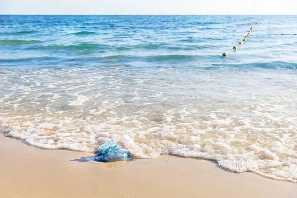 Błękitna Meduza Piaszczystej Plaży Morza Śródziemnego Monastir Tunezja — Zdjęcie stockowe