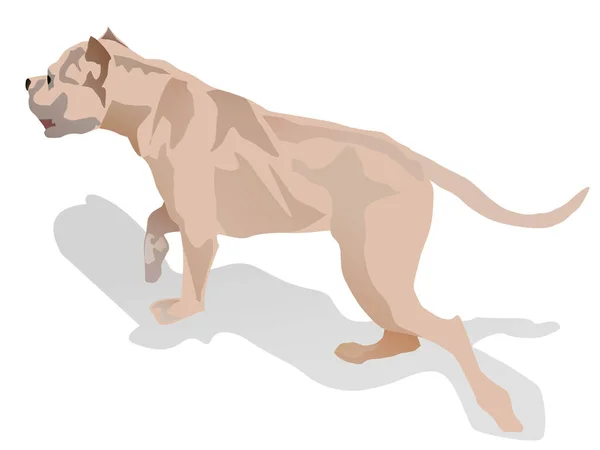 Illustration Dog White — Stockvector