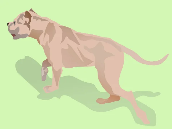 Abbildung Eines Hundes Auf Dem Grün — Stockvektor