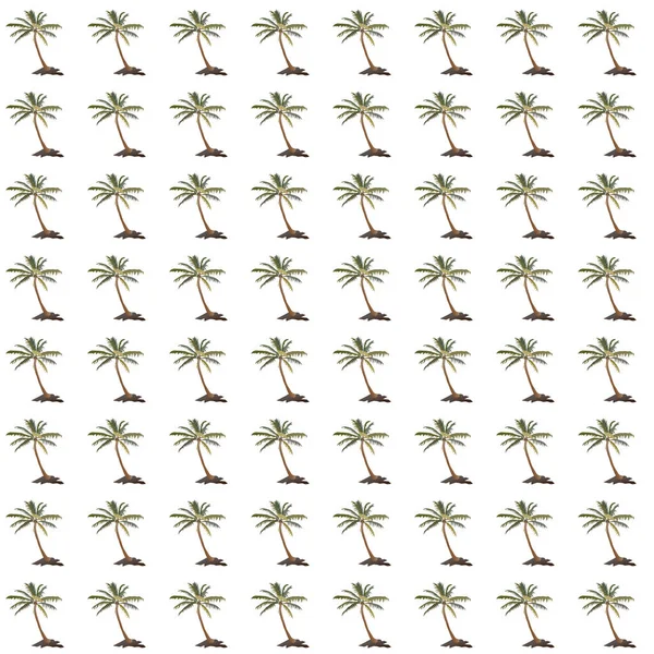 Seamless Pattern Palms White — Stock Photo, Image
