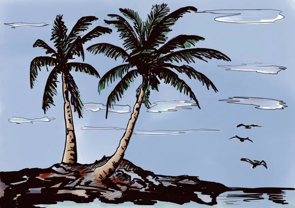 Een Twee Grote Palmbomen Het Strand — Stockfoto