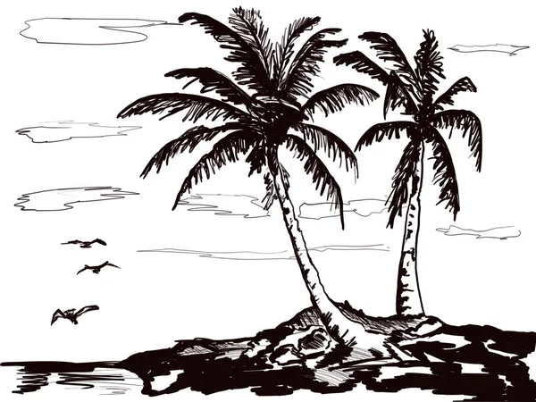 Een Twee Grote Palmbomen Het Strand — Stockvector