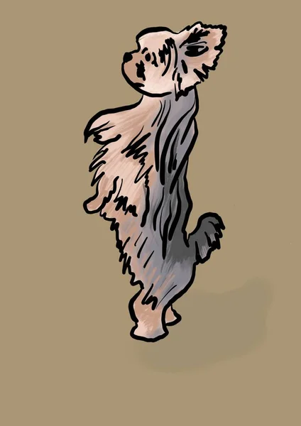 Uma Ilustração Pequeno Terrier — Fotografia de Stock