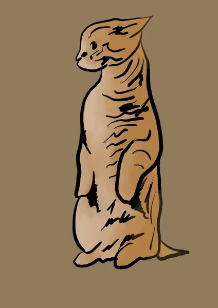 Eine Illustration Einer Katze — Stockfoto