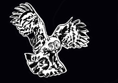   Avdaki bir baykuşun siyah-beyaz çizimi