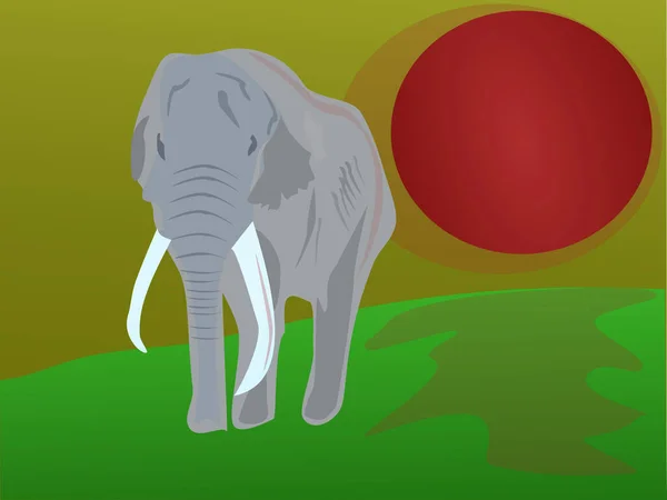 Ilustración Elefante Con Antecedentes — Vector de stock