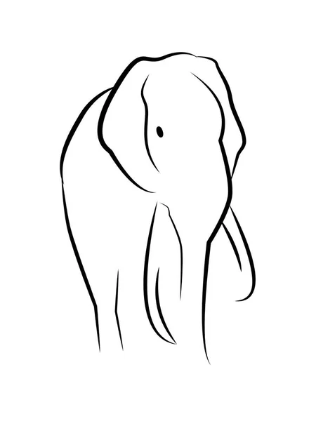 Gran Elefante Aislado Blanco — Vector de stock