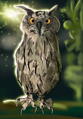   Koyu arkaplanda bir baykuşun çizimi 