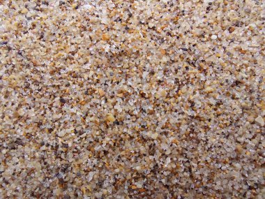 Macro shot of wet sand on a tropical beach