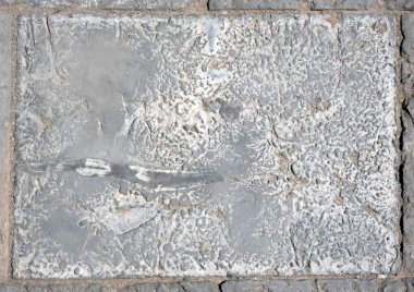 Paving slabs, fossilized shells, texture of fossils, close-up
