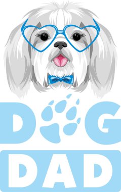 Mavi gözlüklü güzel Shih Tzu. Köpek baba.