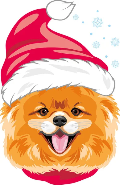 戴着圣诞礼帽的快乐波美拉尼亚犬 — 图库矢量图片