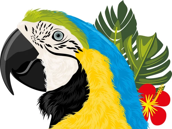 Macaw Parrot Tropical Leaves — Stock Vector
