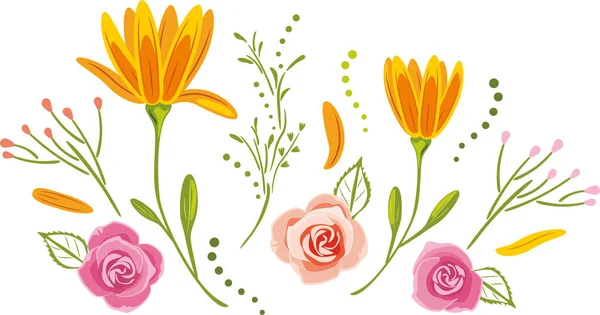 Blommande Tusensköna Och Rosa Rosor Isolerade Vitt — Stock vektor