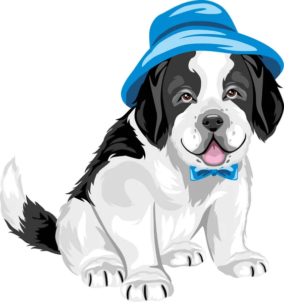 Panama Şapkalı Şirin Saint Bernard Yavru Köpeği — Stok Vektör