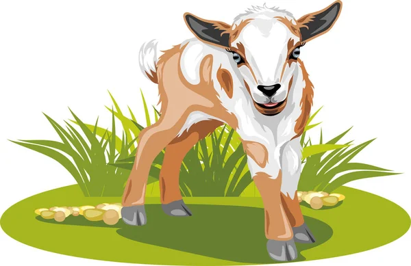 Niedliche Baby Ziege Auf Dem Rasen — Stockvektor