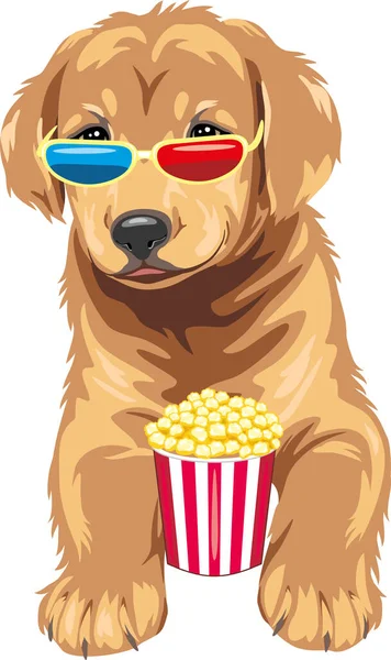 Filhote Cachorro Engraçado Golden Retriever São Especialista Filmes — Vetor de Stock
