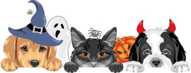 Altın Avcı, Kara Kedi ve Aziz Bernard köpeği Cadılar Bayramı için süslü aksesuarlar içinde.