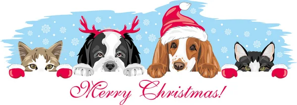 在圣诞饰物中偷看可爱的狗和猫 图库矢量图片