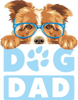 Sınır Collie köpeği baba. Sevimli tasarım beyazda izole edildi