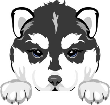 Şirin, dik dik bakan köpek yavrusu.