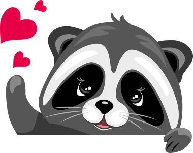 Kalpli şirin bir rakun.