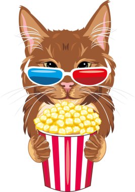 Komik kızıl kedi film uzmanı.