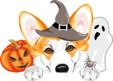 Hayalet ve Cadılar Bayramı balkabaklı Galli Corgi köpeği.