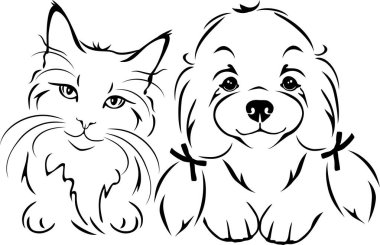 Özetlenmiş şirin kedi ve Maltese köpeği