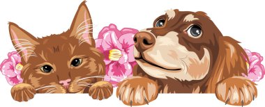 Tatlı dikizci kızıl kedi ve pembe çiçekli rüya dachshund.