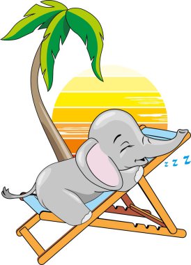 Yavru fil palmiye ağacının altındaki iskemlede uyuyor.