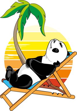 Mutlu panda palmiye ağacının altındaki iskemlede dinleniyor.