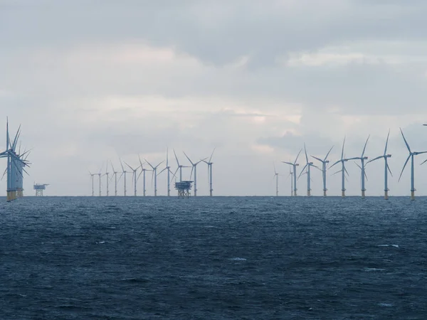 Offshore Und Onshore Windkraftpark Westermeerwind Windmühlenpark Den Niederlanden Mit Riesigen — Stockfoto
